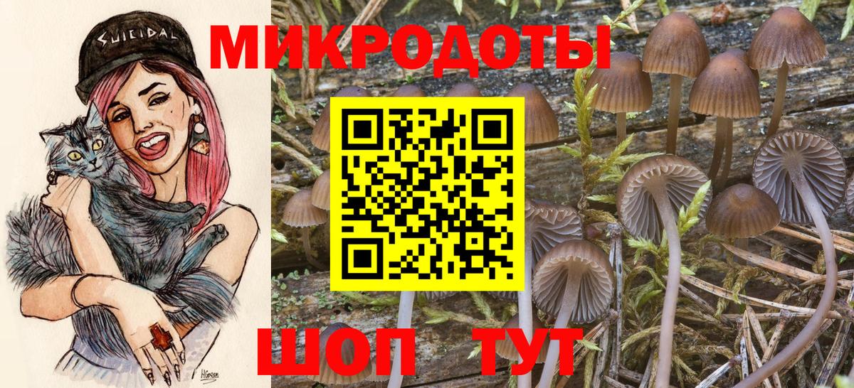 Псилоцибиновые грибы Psilocybine cubensis  Вход с VPN  Старая Купавна 
